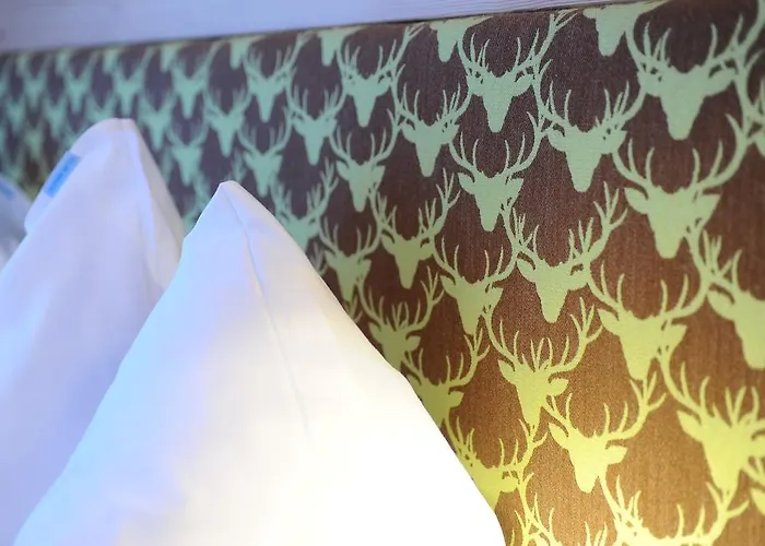 Ski In/ski Out Chalet Bergmuller By Schladmingurlaub 公寓 斯拉德明