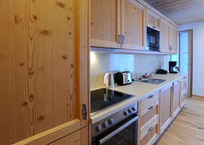 公寓 Ski In/ski Out Chalet Bergmuller By Schladmingurlaub *