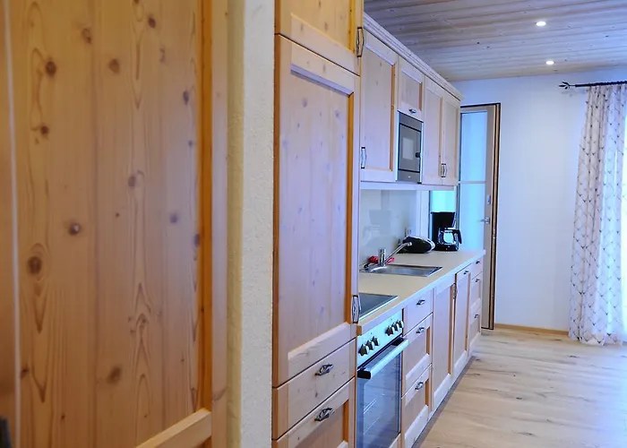 Ski In/ski Out Chalet Bergmuller By Schladmingurlaub 斯拉德明