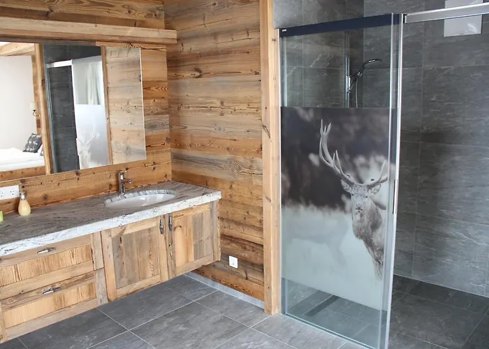 Ski In/ski Out Chalet Bergmuller By Schladmingurlaub 斯拉德明